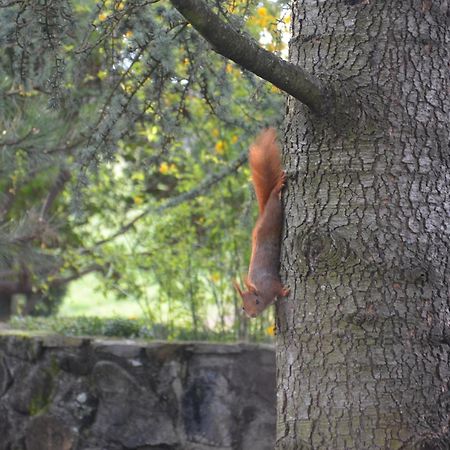 Domaine Insolite Du Petit Moras Chomérac エクステリア 写真