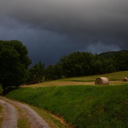 Domaine Insolite Du Petit Moras Chomérac エクステリア 写真