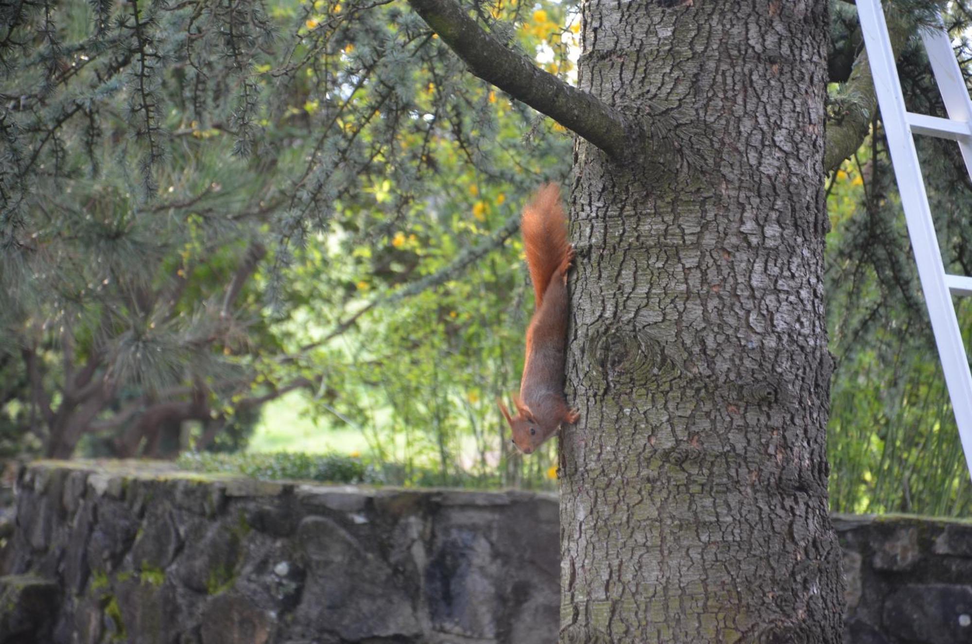 Domaine Insolite Du Petit Moras Chomérac エクステリア 写真